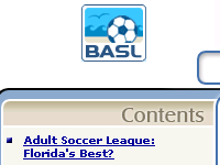 Beaches Adult Soccer League