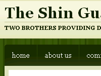 The Shin Guardian
