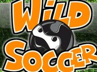 Wild Soccer